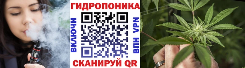 Купить закладку Краснокамск Бошки Шишки Псилоцибиновые грибы СК ГАШ Мефедрон АМФ