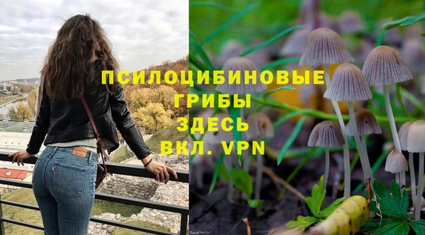 метадон Алексеевка