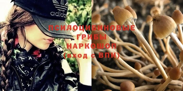 наркотики Алексин